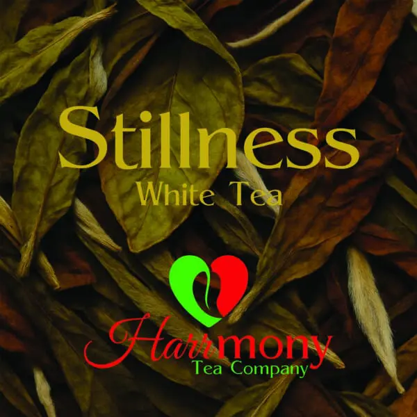 STILLNESS WHITE TEA