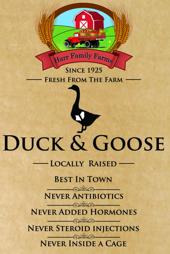 Duck and goose poster