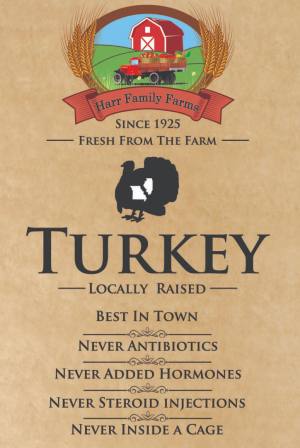 turkey poster