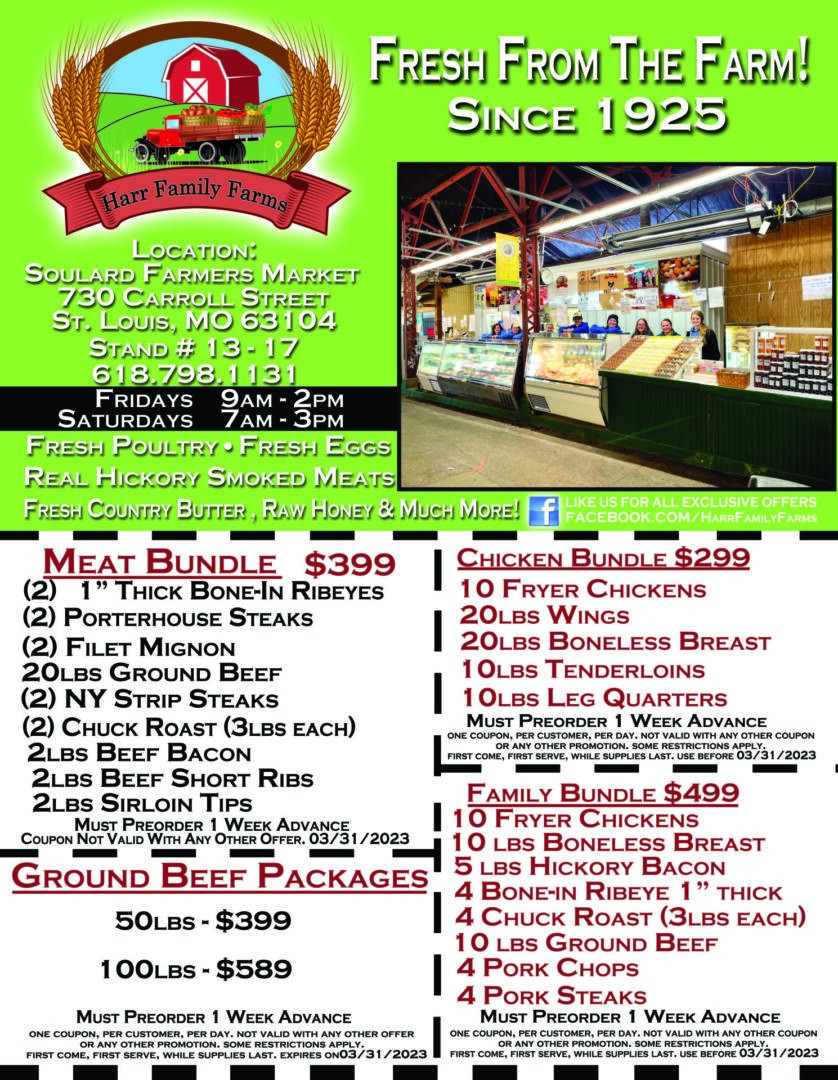 MARCH flyer