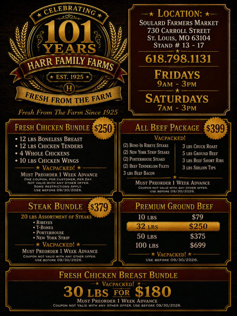 SEPTEMBER flyer